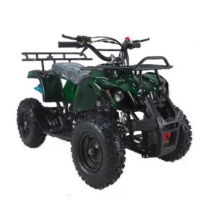 Mini Cuatriciclo Pro Racing BIG REX 50cc